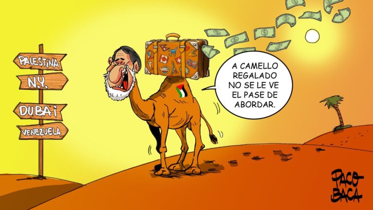 img-20251022-wa01048650315970575757727