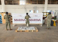 Decomisan en Veracruz 185 kg de metanfetamina y 35 kg de cocaína escondidos en contenedores de piedra laja.