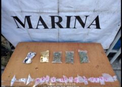 Ejército, Marina y Guardia Nacional refuerzan seguridad en Nayarit con operativos en sierra, carreteras y costa.